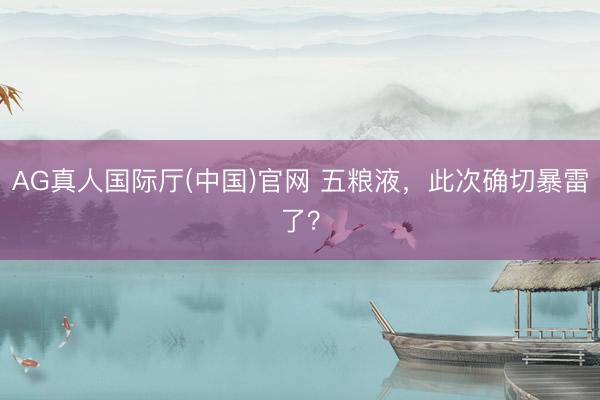 AG真人国际厅(中国)官网 五粮液,此次确切暴雷了?