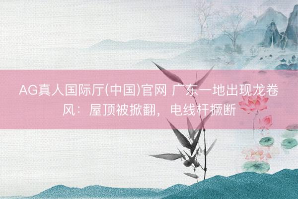 AG真人国际厅(中国)官网 广东一地出现龙卷风：屋顶被掀翻，电线杆撅断