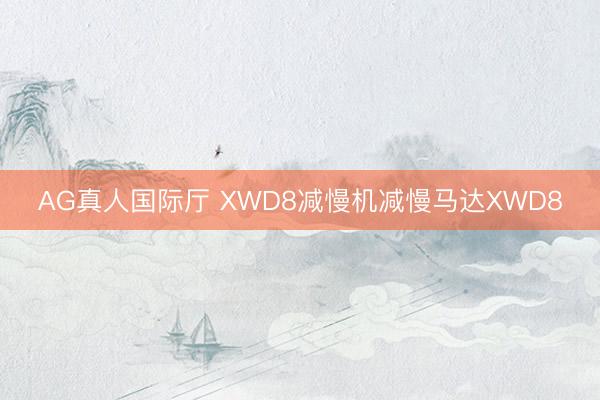 AG真人国际厅 XWD8减慢机减慢马达XWD8