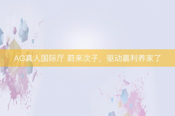 AG真人国际厅 蔚来次子，驱动赢利养家了