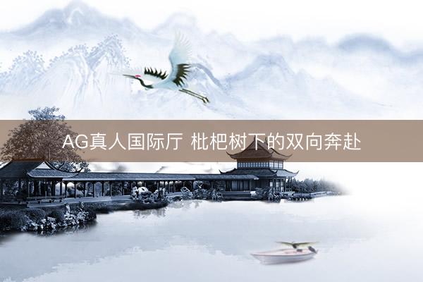 AG真人国际厅 枇杷树下的双向奔赴
