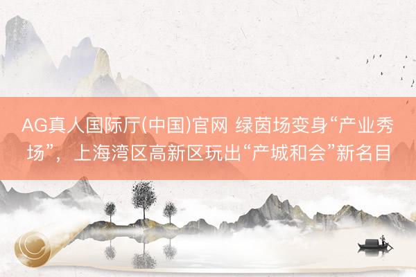 AG真人国际厅(中国)官网 绿茵场变身“产业秀场”，上海湾区高新区玩出“产城和会”新名目