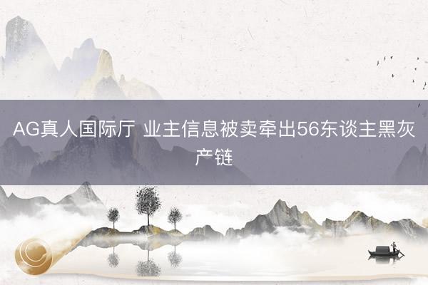 AG真人国际厅 业主信息被卖牵出56东谈主黑灰产链