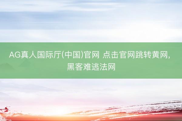AG真人国际厅(中国)官网 点击官网跳转黄网, 黑客难逃法网