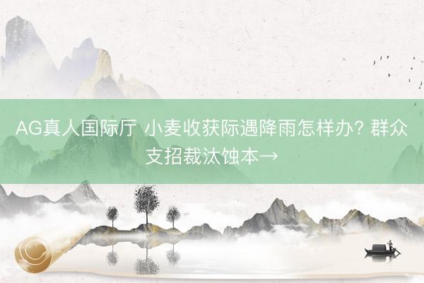 AG真人国际厅 小麦收获际遇降雨怎样办? 群众支招裁汰蚀本→