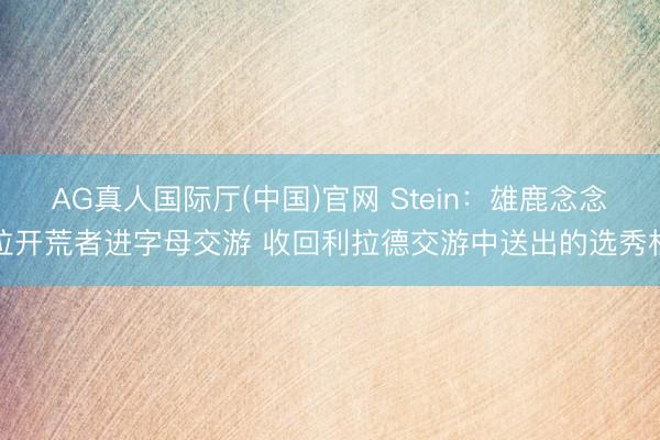 AG真人国际厅(中国)官网 Stein：雄鹿念念拉开荒者进字母交游 收回利拉德交游中送出的选秀权