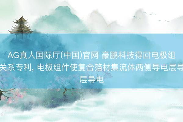 AG真人国际厅(中国)官网 豪鹏科技得回电极组件关系专利, 电极组件使复合箔材集流体两侧导电层导电