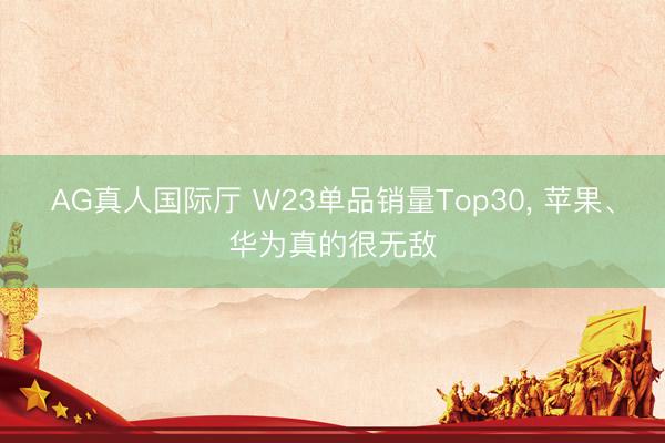 AG真人国际厅 W23单品销量Top30， 苹果、华为真的很无敌