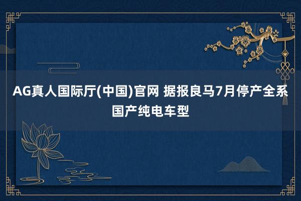 AG真人国际厅(中国)官网 据报良马7月停产全系国产纯电车型